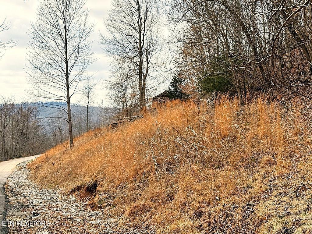 431 Bald Eagle Road Celina, TN 38551 - Photo 10 of 26 242745_9