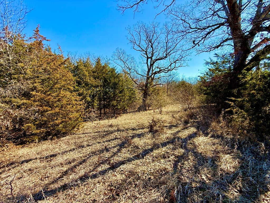 Xxx Coyote Road Greentop, MO 63546 - Photo 5 of 6 Gallery Image 5