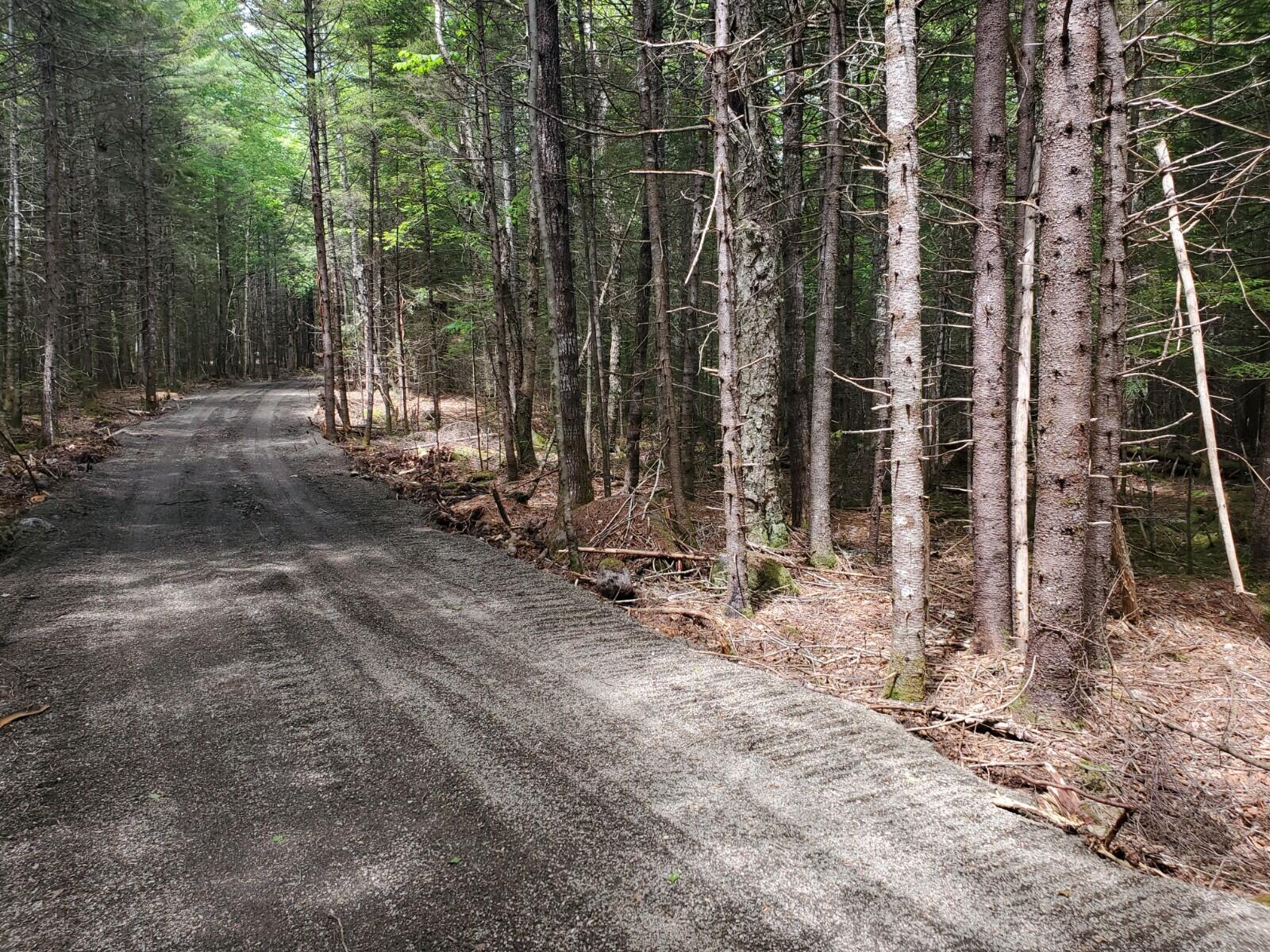 Lot 2 Carlow Road Wesley, ME 04686 - Photo 5 of 5 20210604_133620