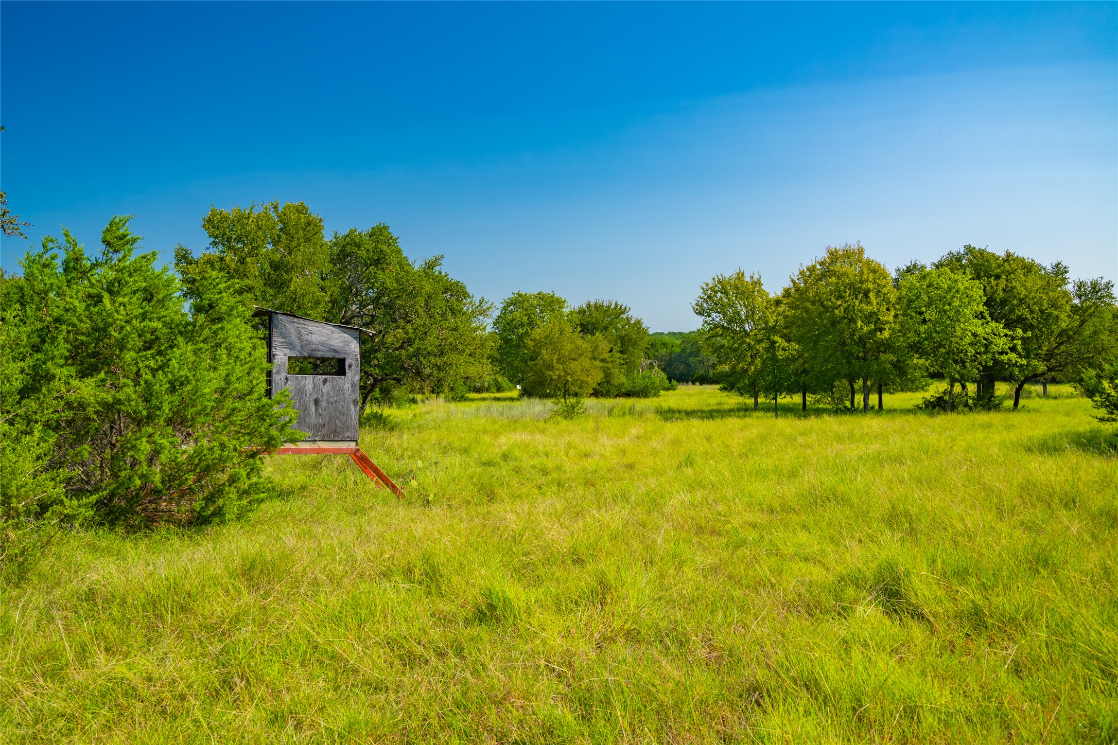 2901 County Road 228 Florence, TX 76527 - Photo 11 of 26