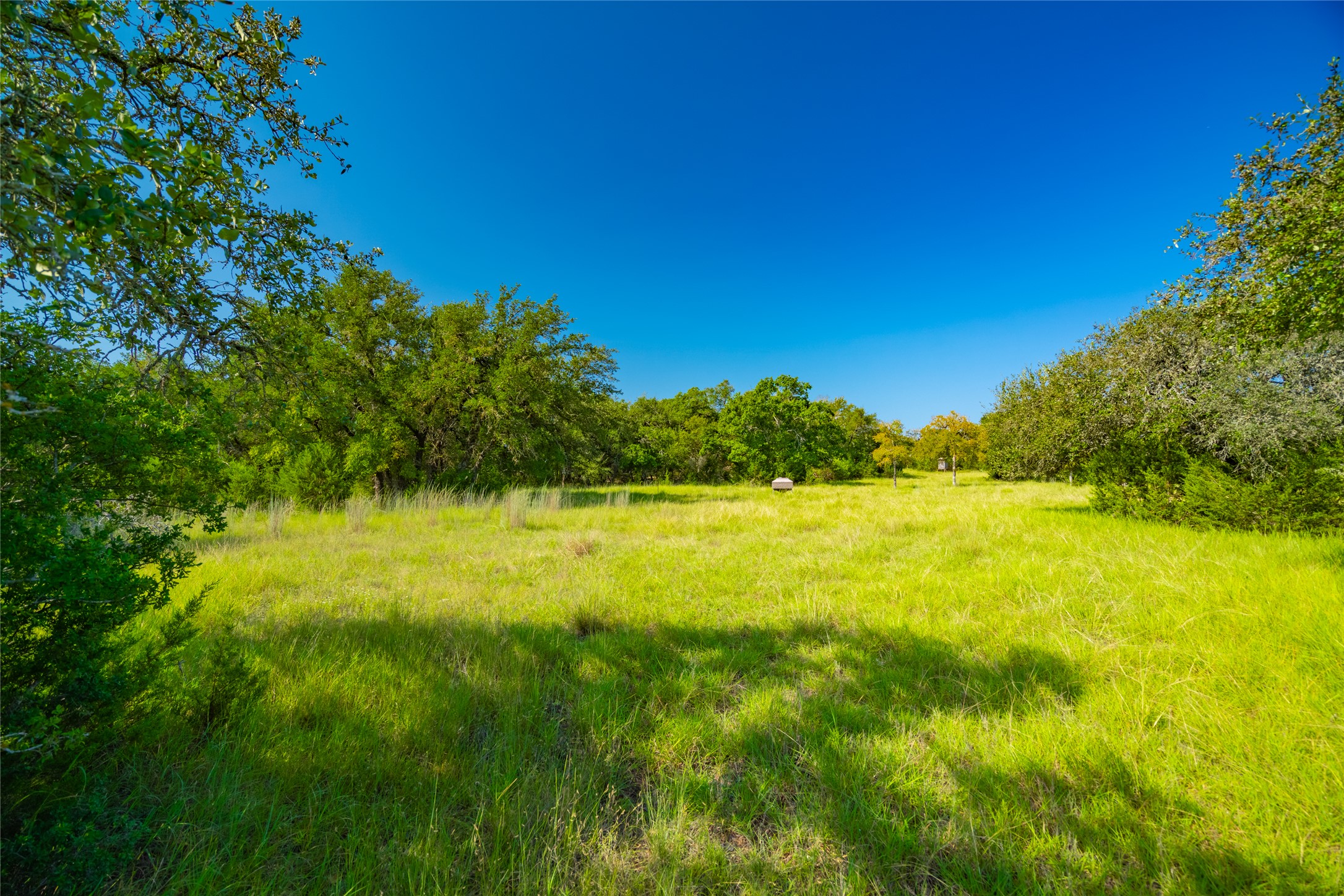 2901 County Road 228 Florence, TX 76527 - Photo 12 of 26