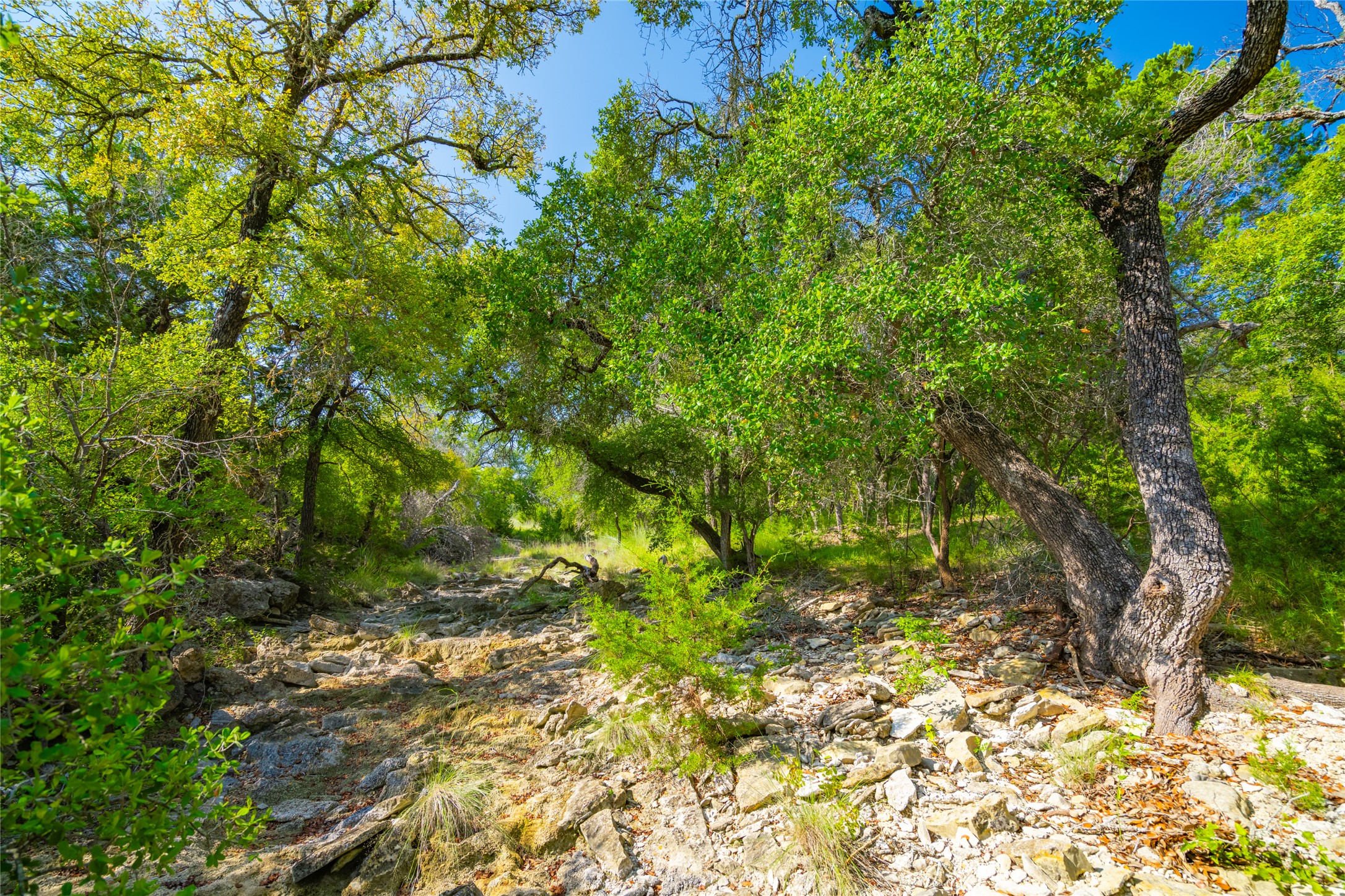 2901 County Road 228 Florence, TX 76527 - Photo 13 of 26