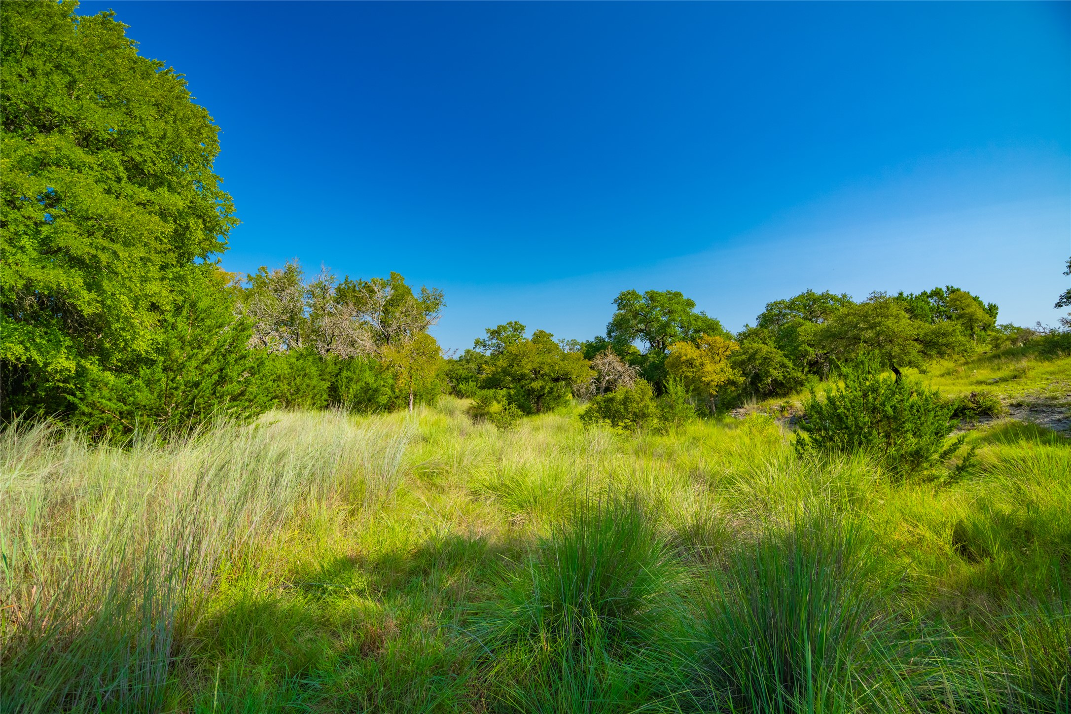2901 County Road 228 Florence, TX 76527 - Photo 15 of 26