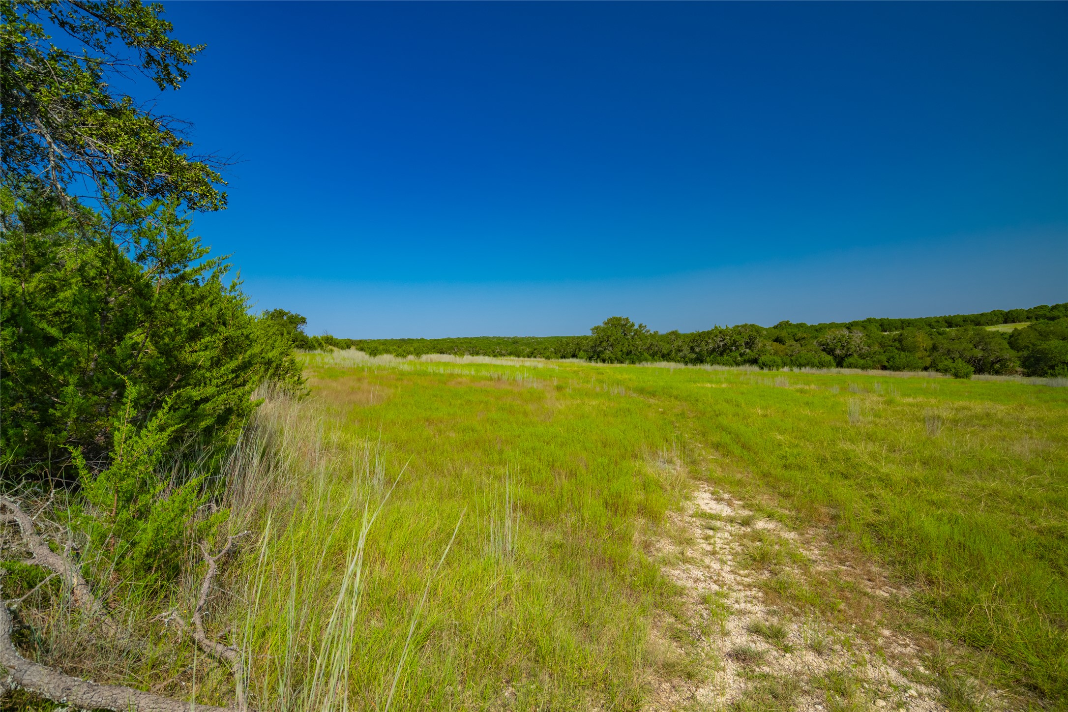 2901 County Road 228 Florence, TX 76527 - Photo 16 of 26