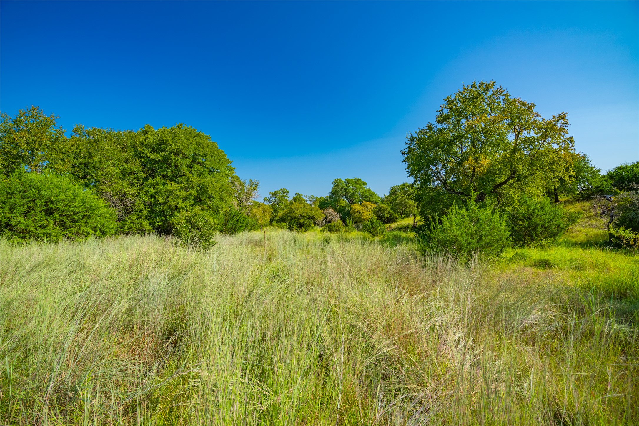 2901 County Road 228 Florence, TX 76527 - Photo 18 of 26
