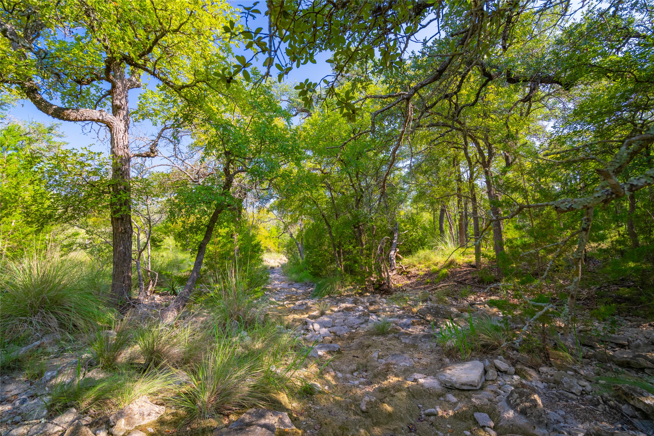 2901 County Road 228 Florence, TX 76527 - Photo 24 of 26