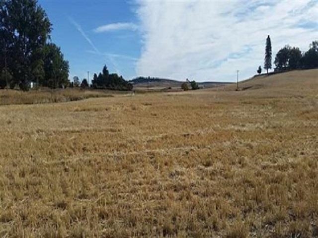 Xx South Good Samaritan Road Fairfield, WA 99012 - Photo 3 of 7