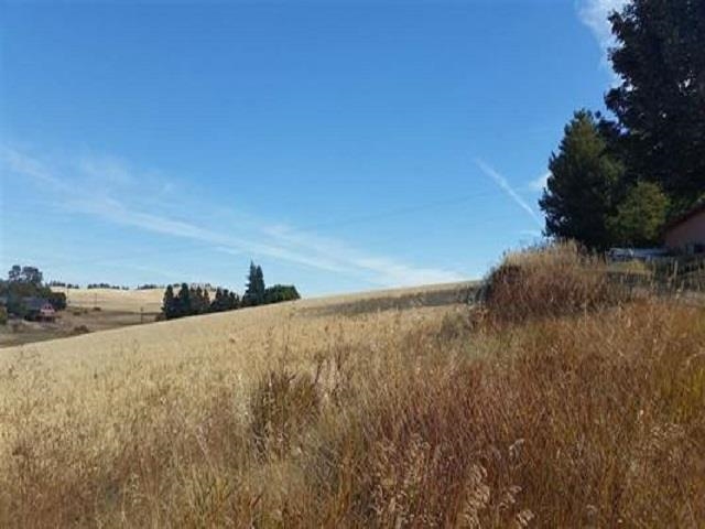 Xx South Good Samaritan Road Fairfield, WA 99012 - Photo 5 of 7