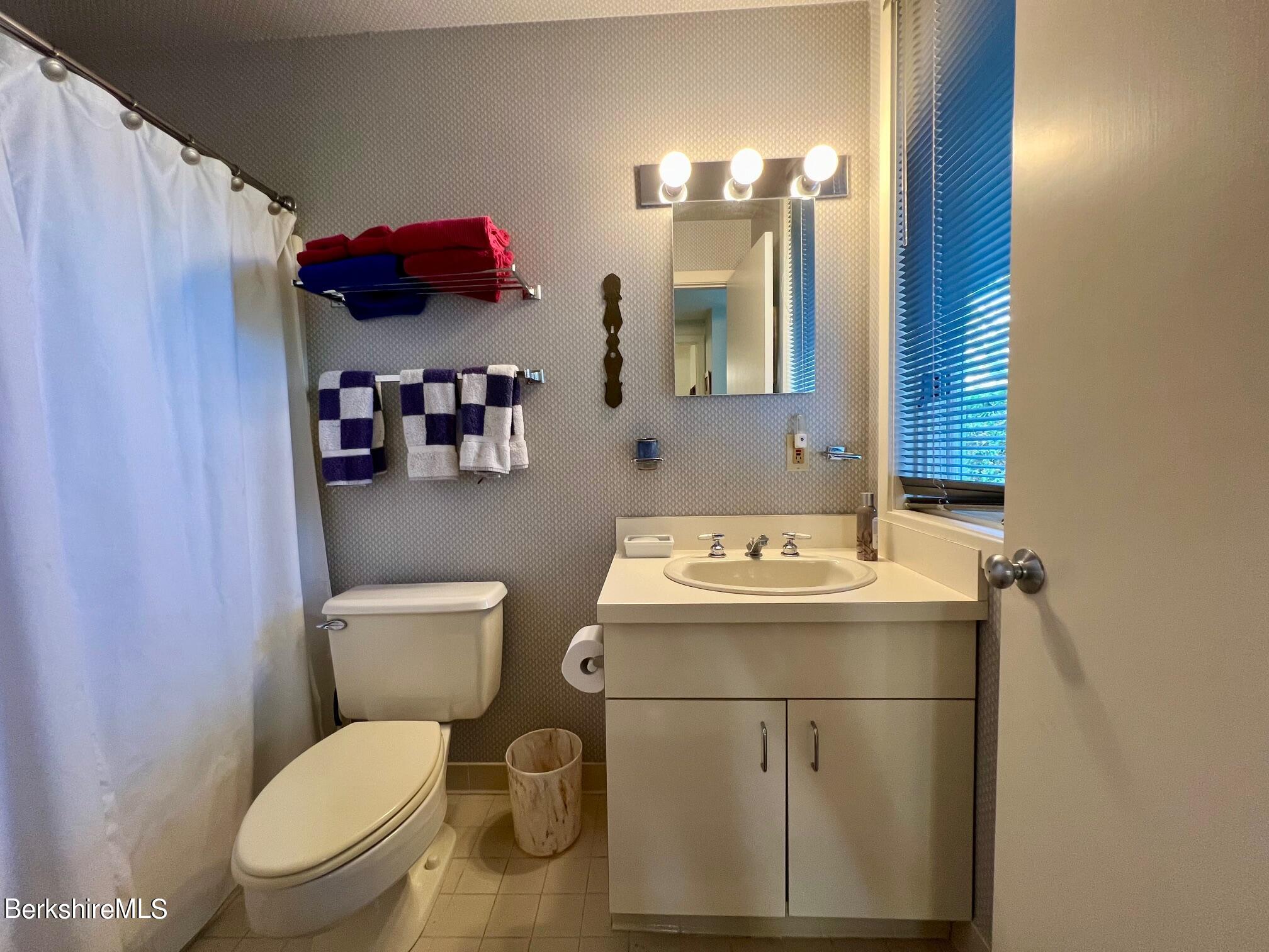 19 Hawthorne Road, Unit S2C Stockbridge, MA 01262 - Photo 32 of 41 a bathroom with a toilet sink and mirror