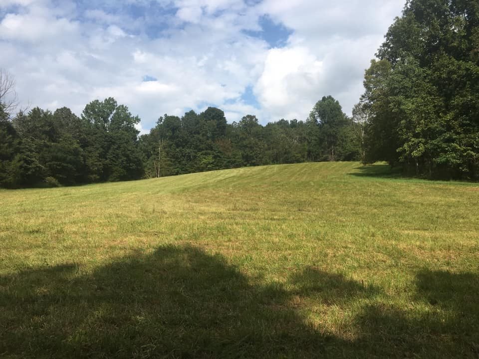 0 Albert Morgan Road Summer Shade, KY 42166 - Photo 18 of 23 Gallery Image 18