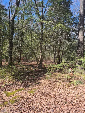 $229,900 | 700 Steerfork Drive, Florence, SC 29501