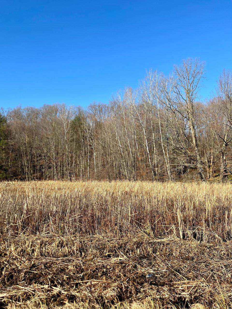 0 Hillside Road Antigo, WI 54409 - Photo 1 of 2 Gallery Image 1