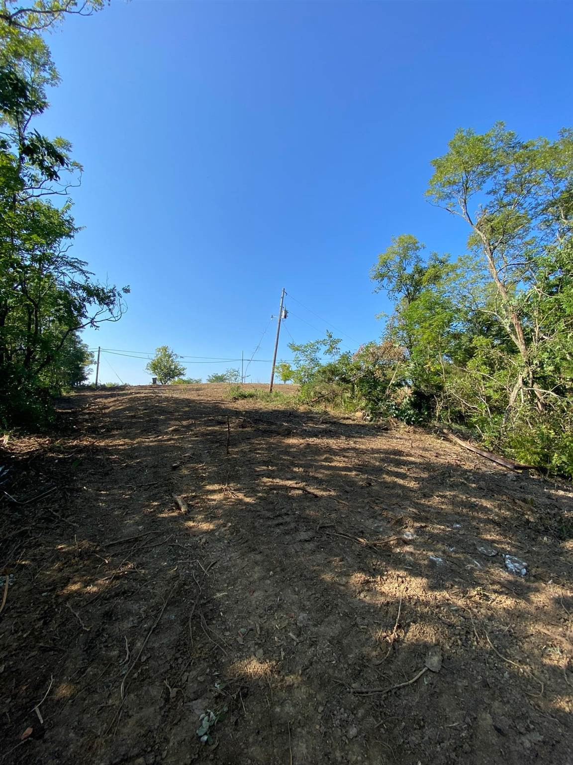 8.76-acres Oak Ridge Road Williamstown, KY 41097 - Photo 17 of 18 Gallery Image 17