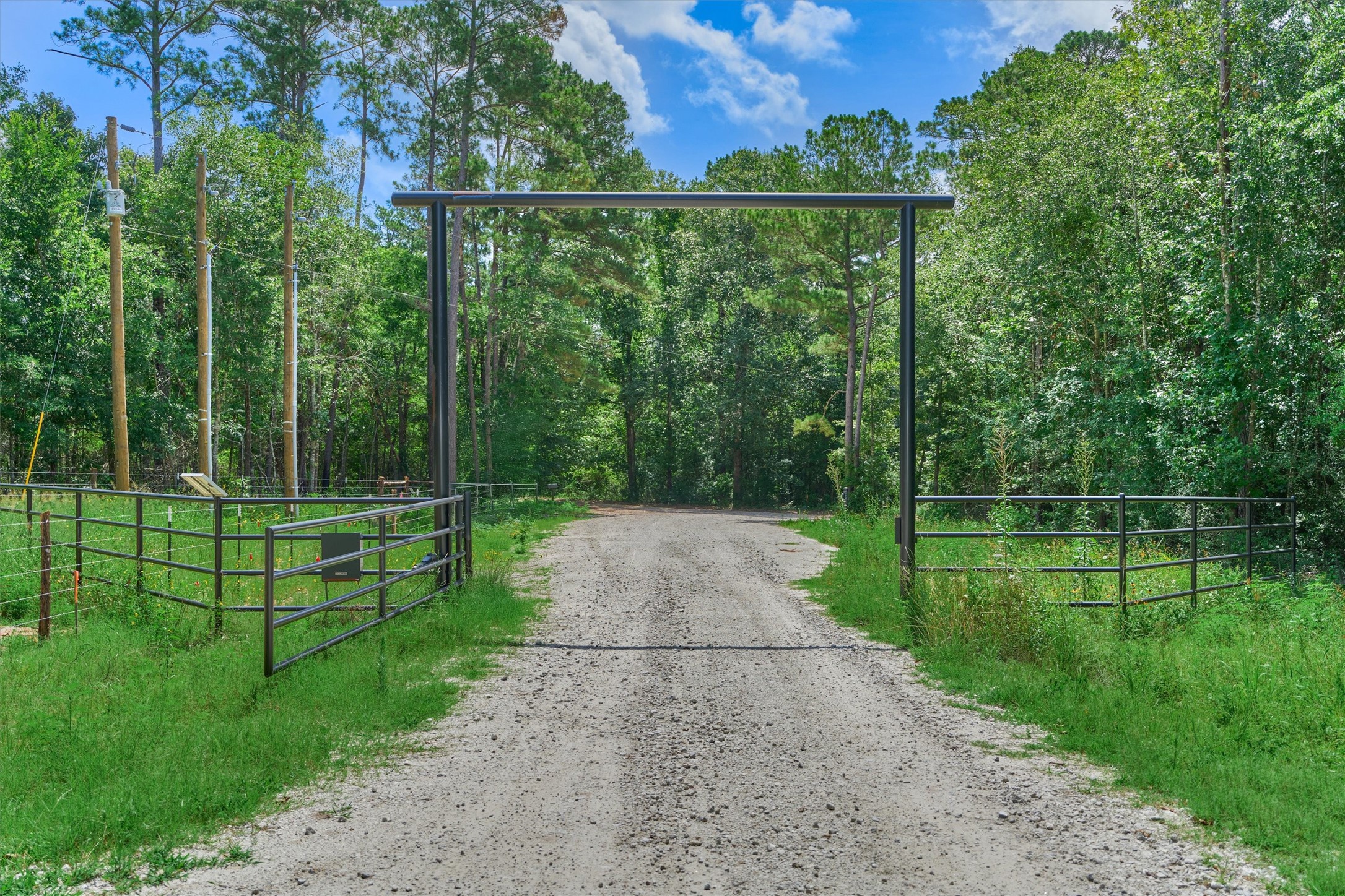 Tract C Tract C Sharp View Road Montgomery, TX 77356 - Photo 13 of 13 a view of a yard with a park