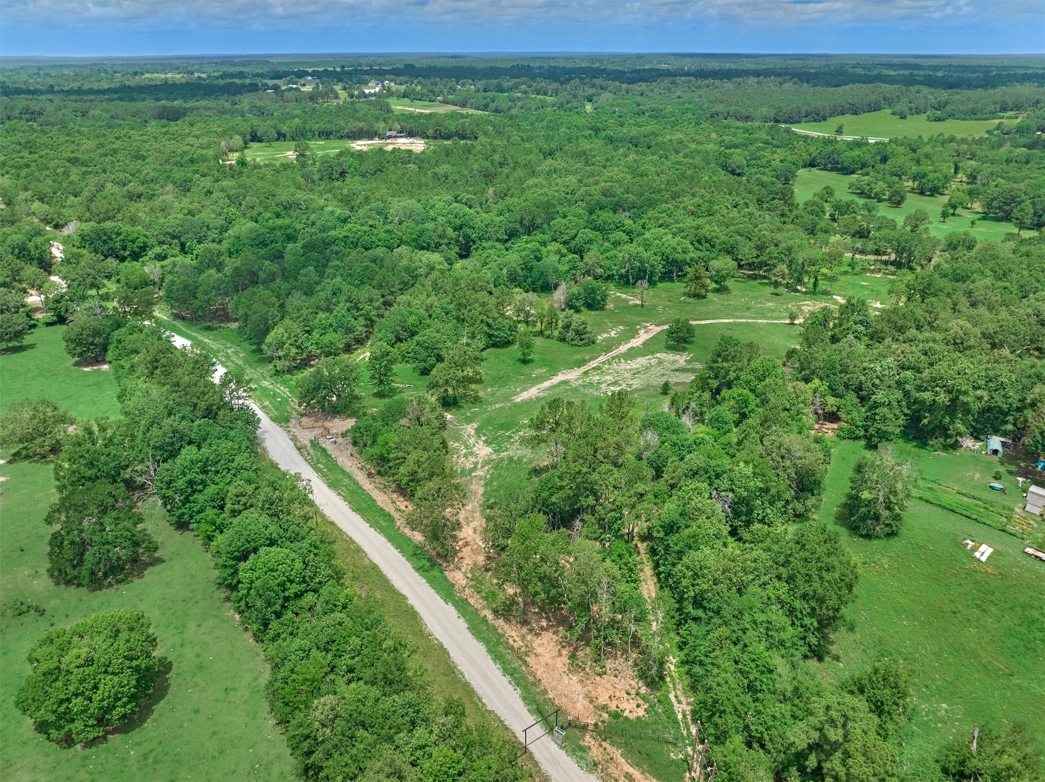 Tract C Tract C Sharp View Road Montgomery, TX 77356 - Photo 4 of 13 a view of a lush green forest with lots of trees