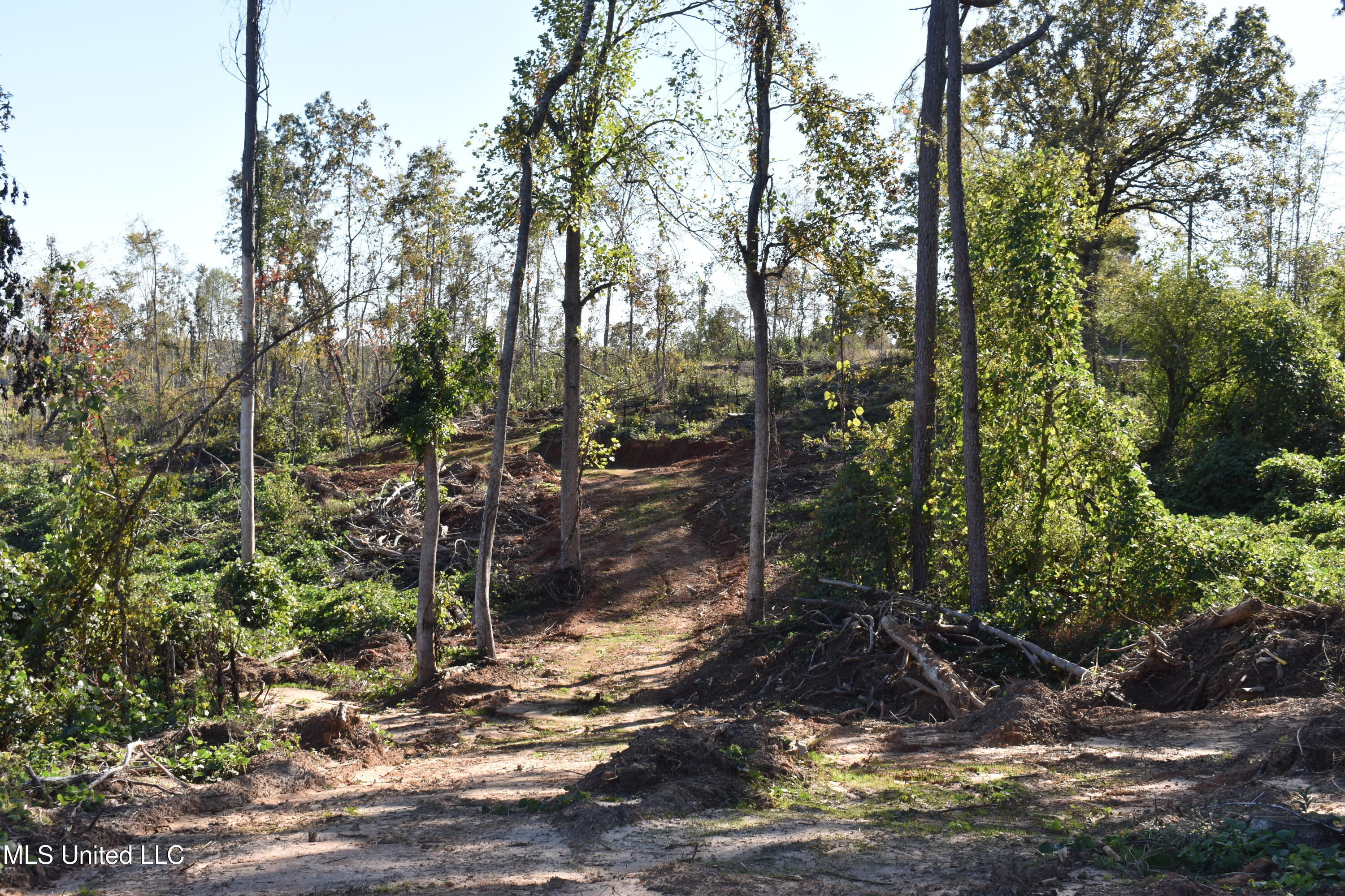 3 Marianna Road Holly Springs, MS 38635 - Photo 13 of 14 DSC_0610