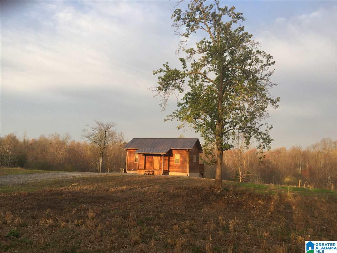 573 Hyatt Bottom Road Joppa, AL 35087 - Photo 3 of 28