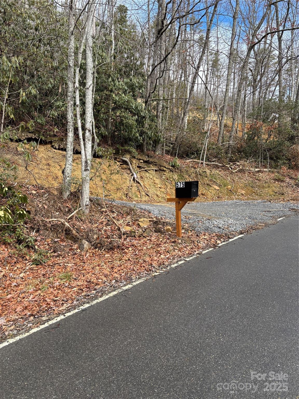 575 Sheepback Mountain Road Maggie Valley, NC 28751 - Photo 3 of 23 Gallery Image 3