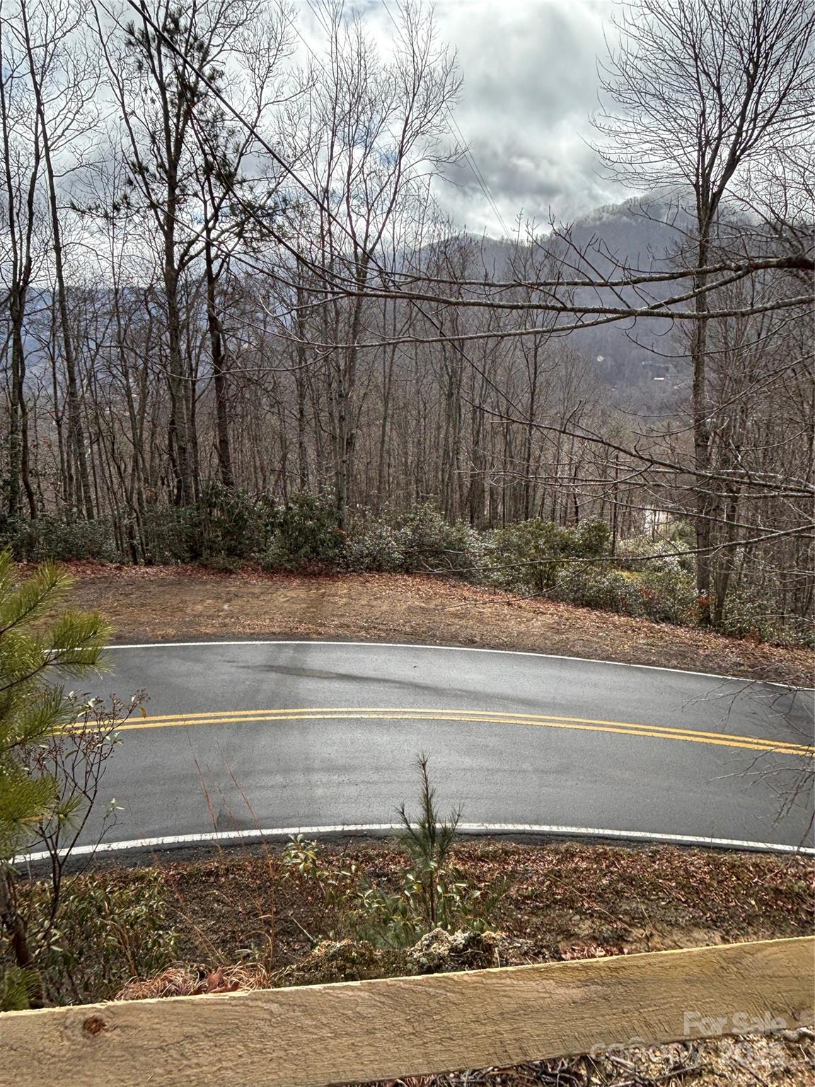 575 Sheepback Mountain Road Maggie Valley, NC 28751 - Photo 8 of 23 Gallery Image 8