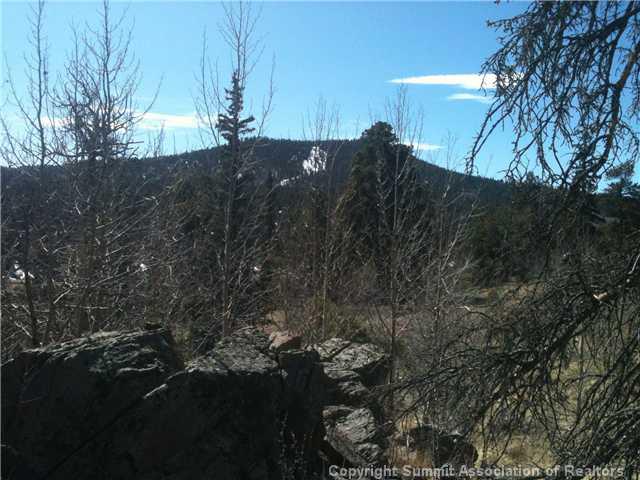 1343 Swiggler Road Como, CO 80456 - Photo 1 of 6 Gallery Image 1