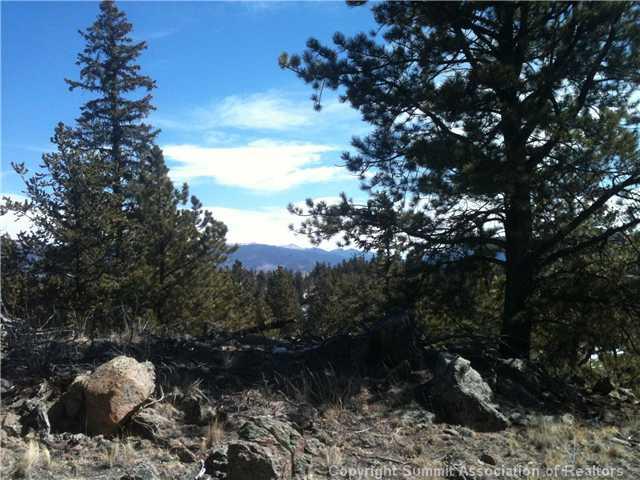 1343 Swiggler Road Como, CO 80456 - Photo 2 of 6 Gallery Image 2