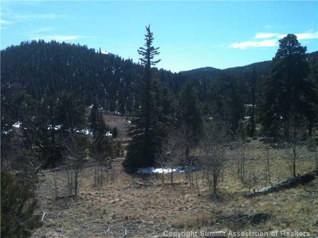 1343 Swiggler Road Como, CO 80456 - Photo 3 of 6 Gallery Image 3