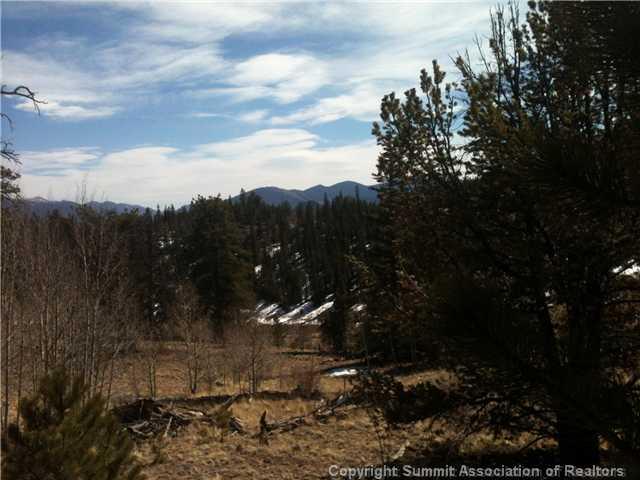 1343 Swiggler Road Como, CO 80456 - Photo 4 of 6 Gallery Image 4