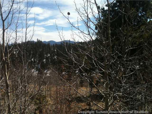 1343 Swiggler Road Como, CO 80456 - Photo 6 of 6 Gallery Image 6