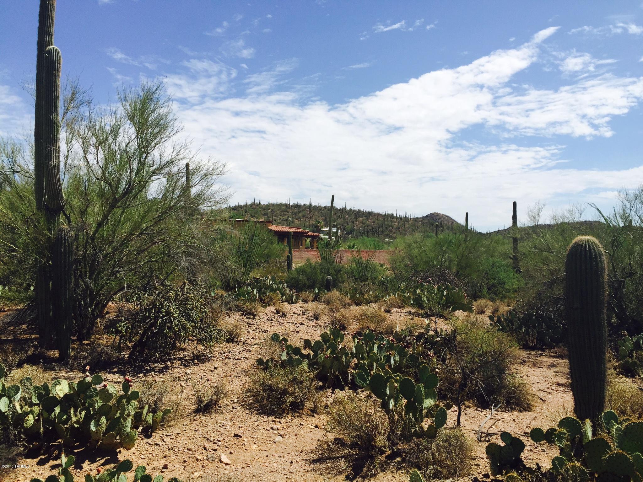 0 West Irvington Road North Tucson, AZ 85746 - Photo 3 of 4
