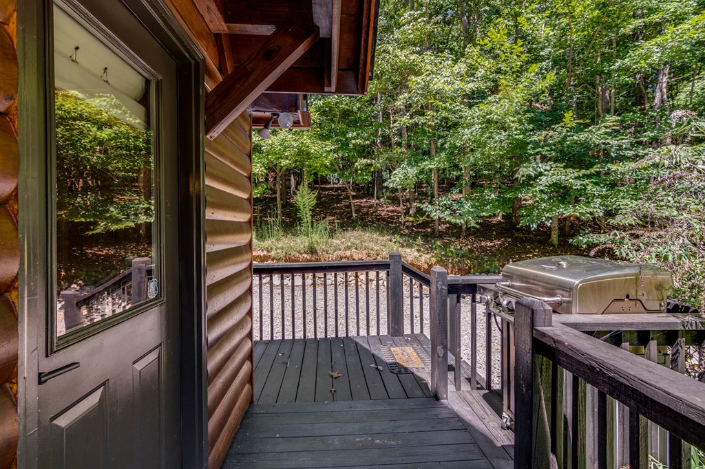 119 Summit Street Ellijay, GA 30540 - Photo 41 of 51
