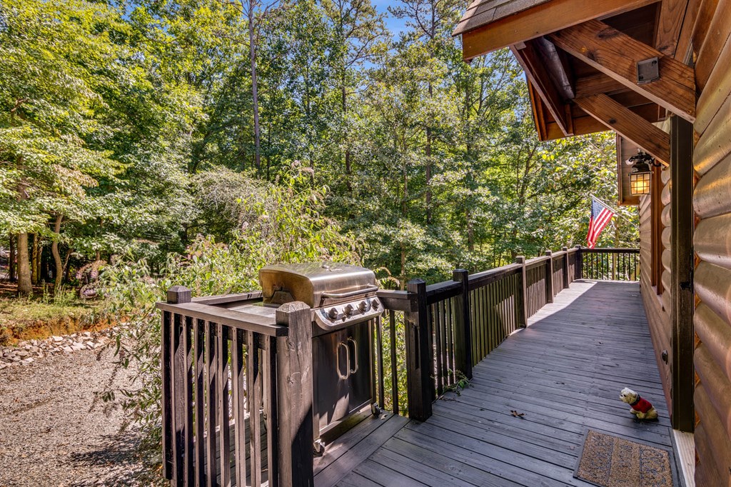 119 Summit Street Ellijay, GA 30540 - Photo 42 of 51