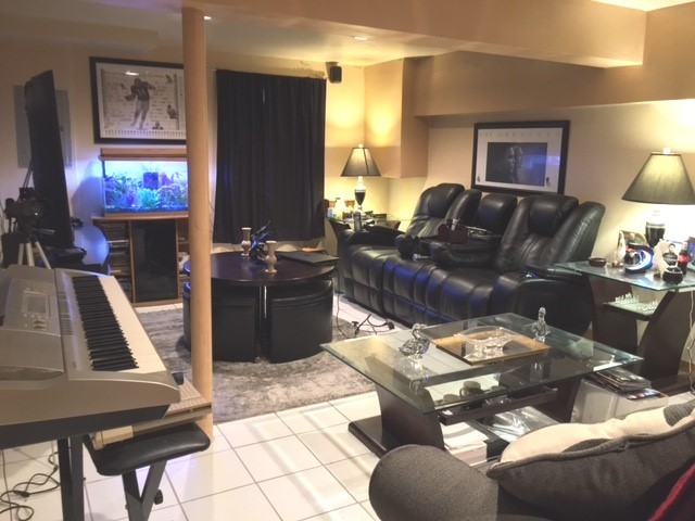 176 Jeffrey Lane Bolingbrook, IL 60440 - Photo 11 of 12 a living room with furniture and a lamp