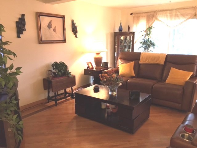176 Jeffrey Lane Bolingbrook, IL 60440 - Photo 2 of 12 a living room with furniture and a window