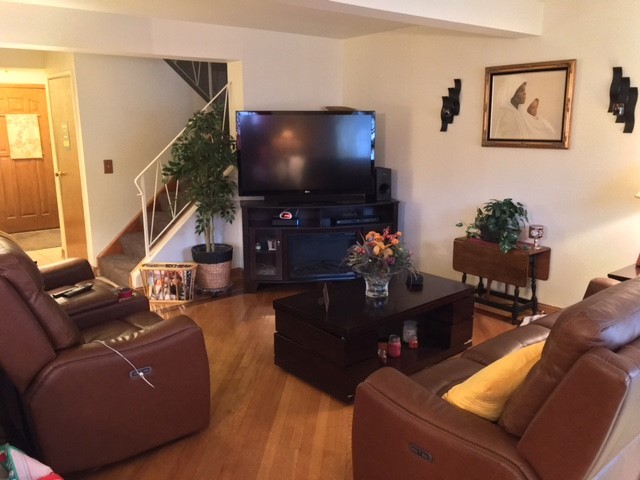 176 Jeffrey Lane Bolingbrook, IL 60440 - Photo 3 of 12 a living room with furniture and a flat screen tv