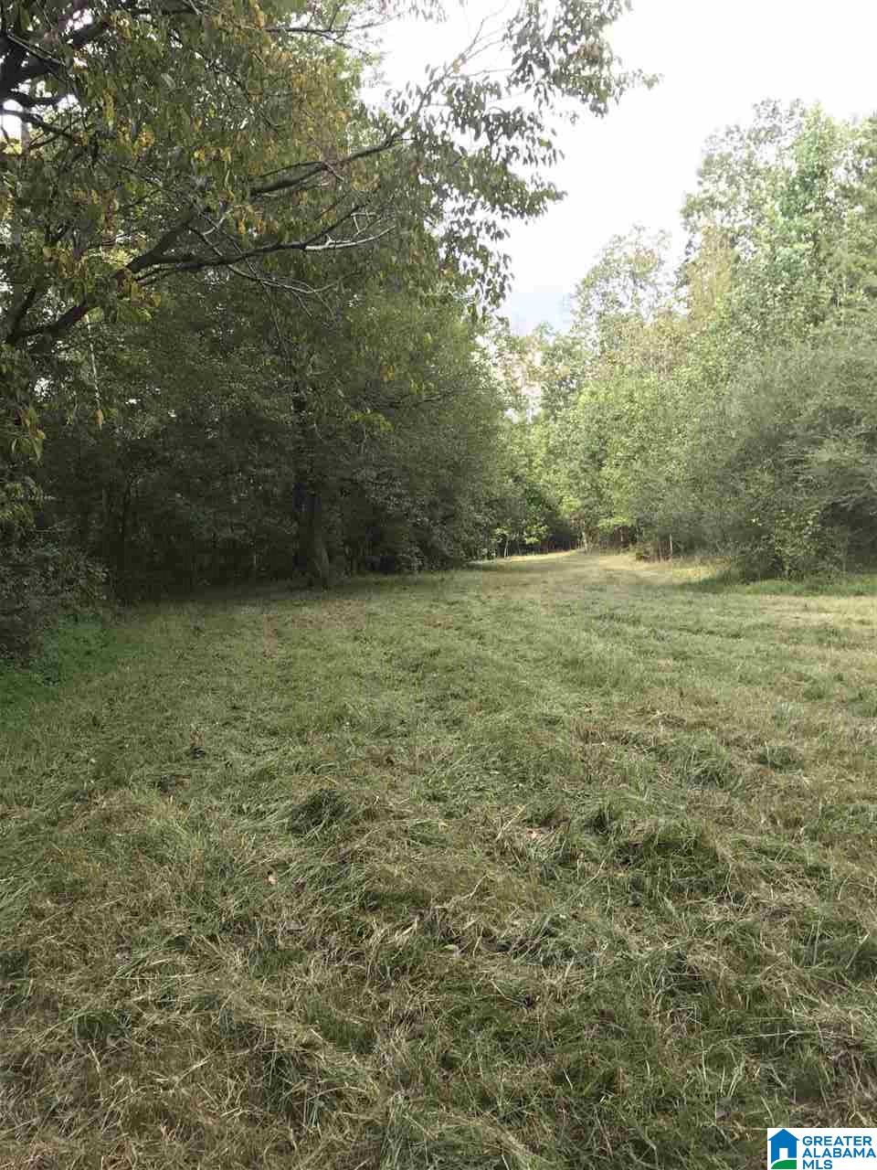 516 County Road Woodland, AL 36280 - Photo 9 of 22
