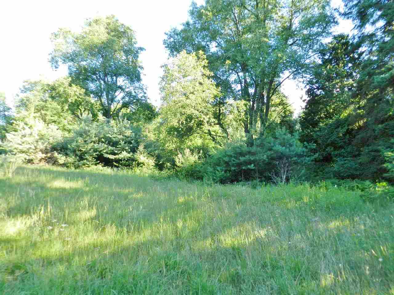 7529 Blue Road Southwest Fife Lake, MI 49633 - Photo 41 of 62 1865960-40.JPG