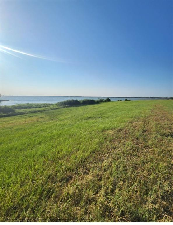 0 Southeast County Road Kerens, TX 75144 - Photo 13 of 19