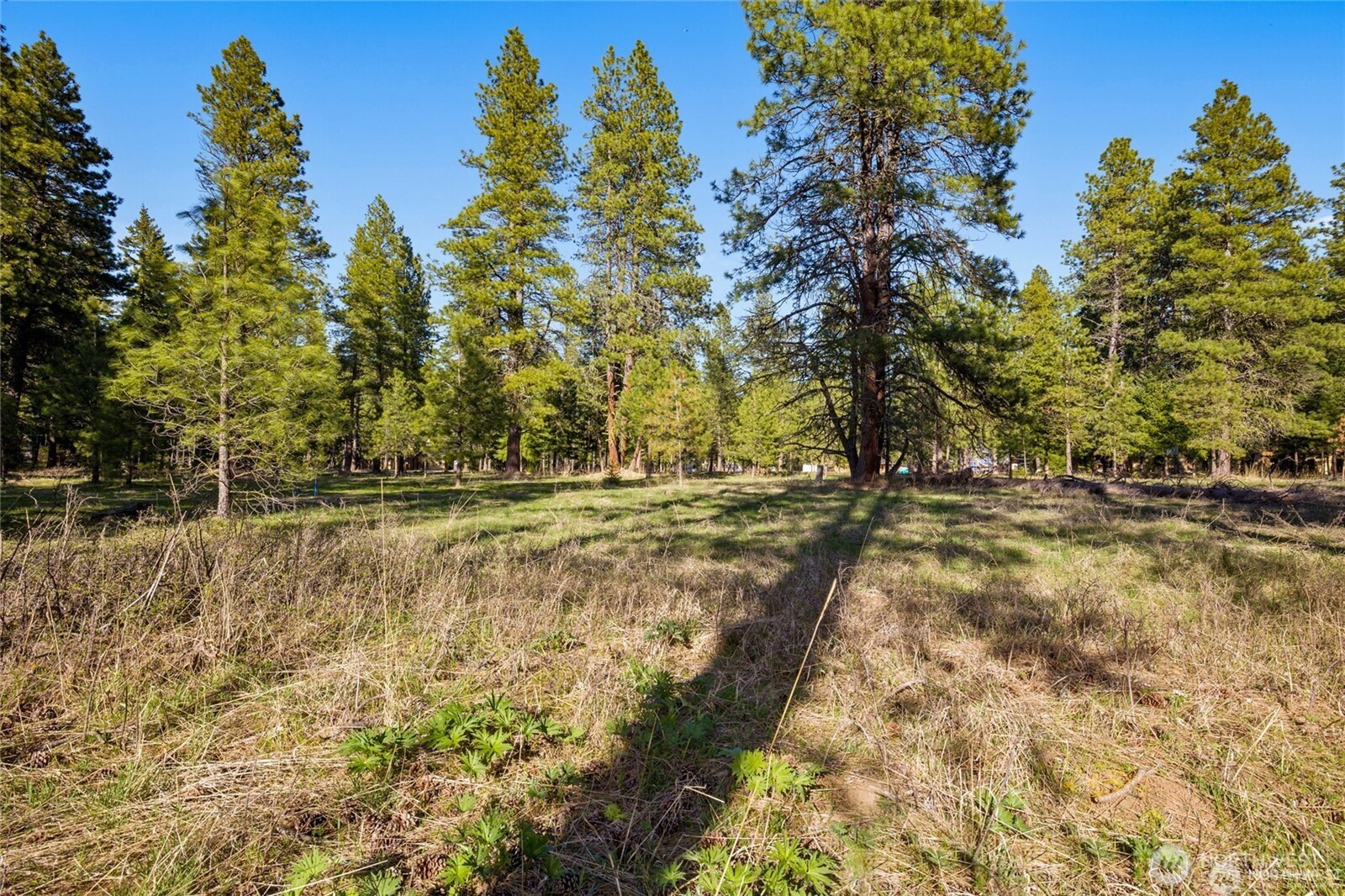 14 X Farmhouse Way Cle Elum, WA 98922 - Photo 4 of 21