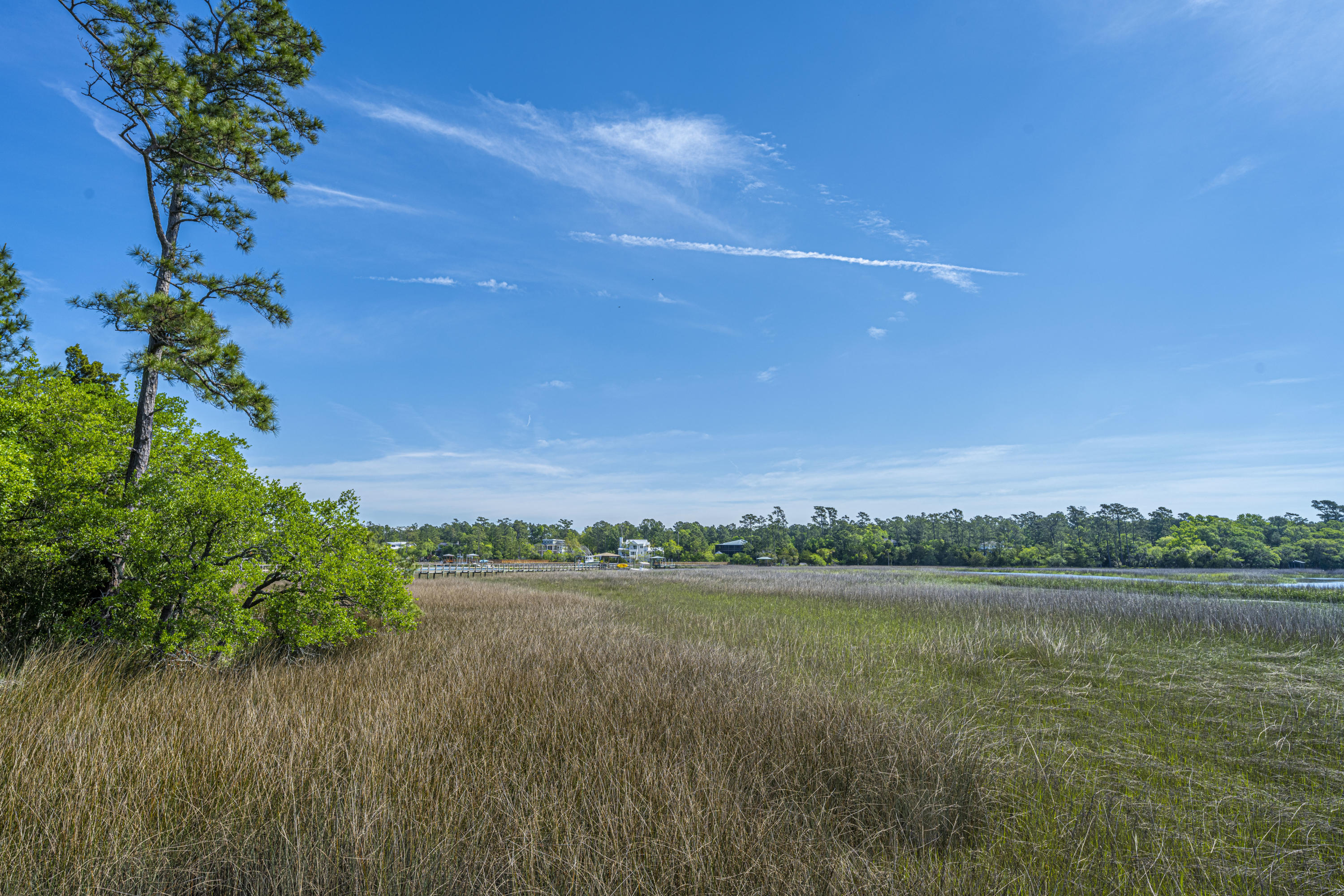 2849 Parkers Landing Road Mount Pleasant, SC 29466 - Photo 43 of 63 2849ParkersLandingRd50