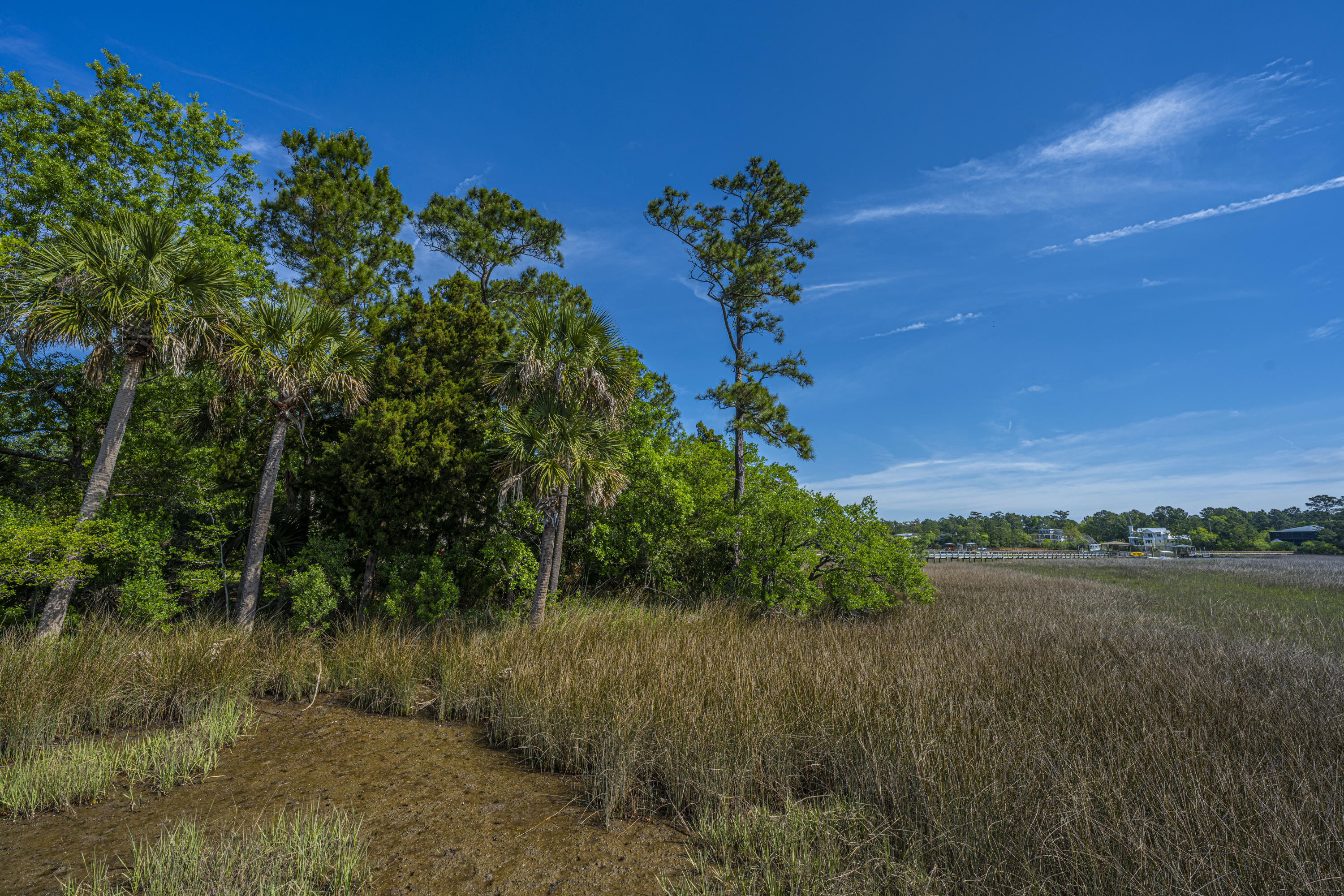 2849 Parkers Landing Road Mount Pleasant, SC 29466 - Photo 44 of 63 2849ParkersLandingRd51