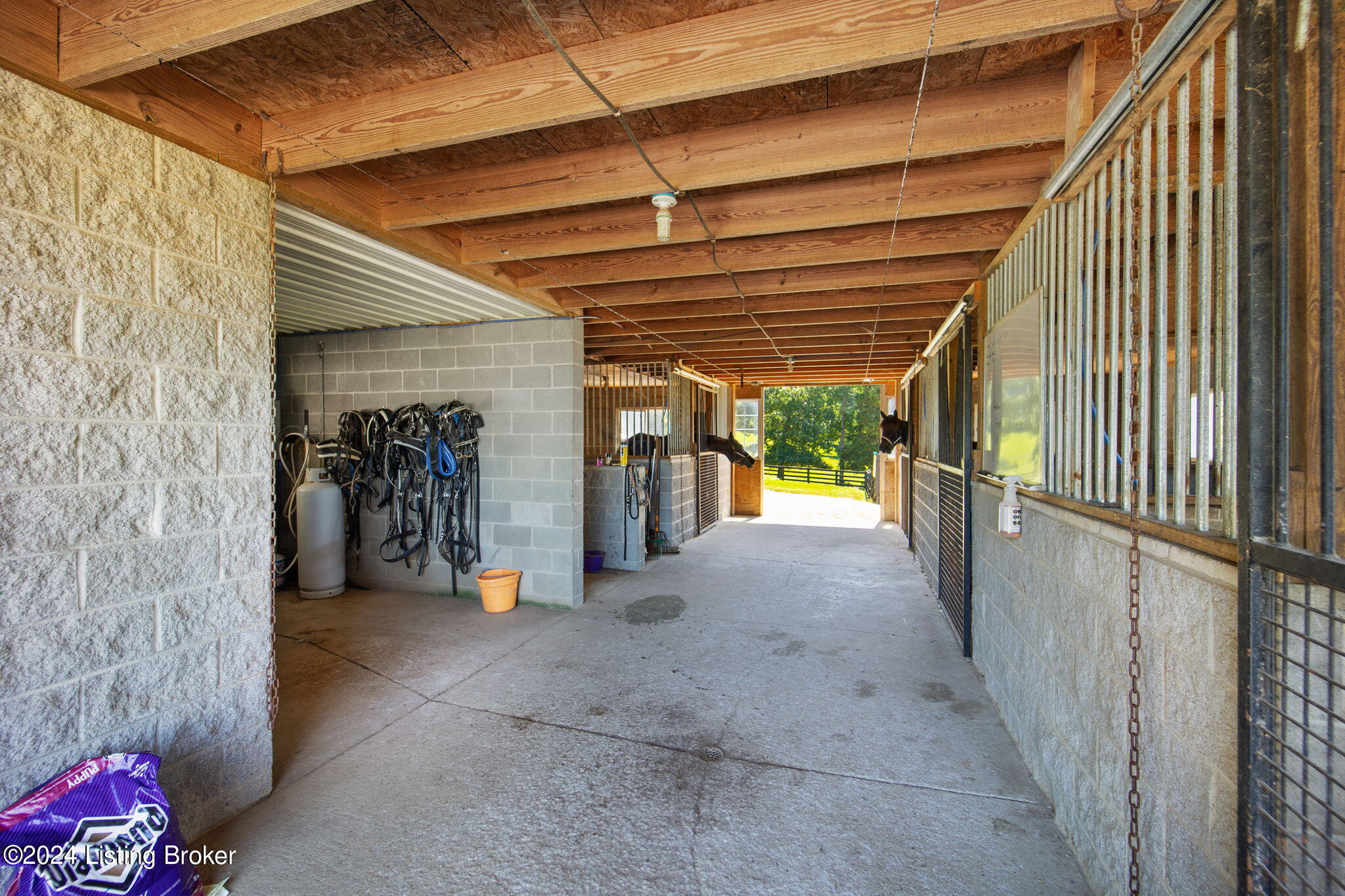 251 Roseburg Road Cub Run, KY 42729 - Photo 83 of 127 89-web-or-mls-542A3178