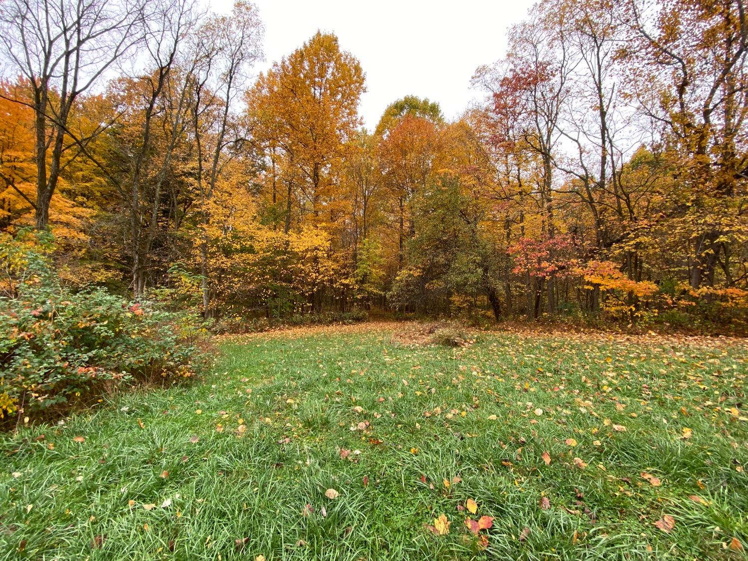 17060 McGuire Ridge Road Laurel, IN 47024 - Photo 2 of 8