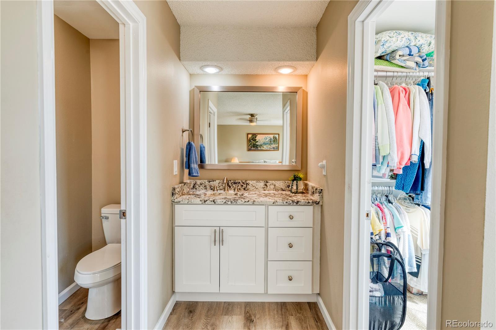 6723 East Rustic Drive Parker, CO 80138 - Photo 19 of 32 a bathroom with a sink vanity granite and toilet