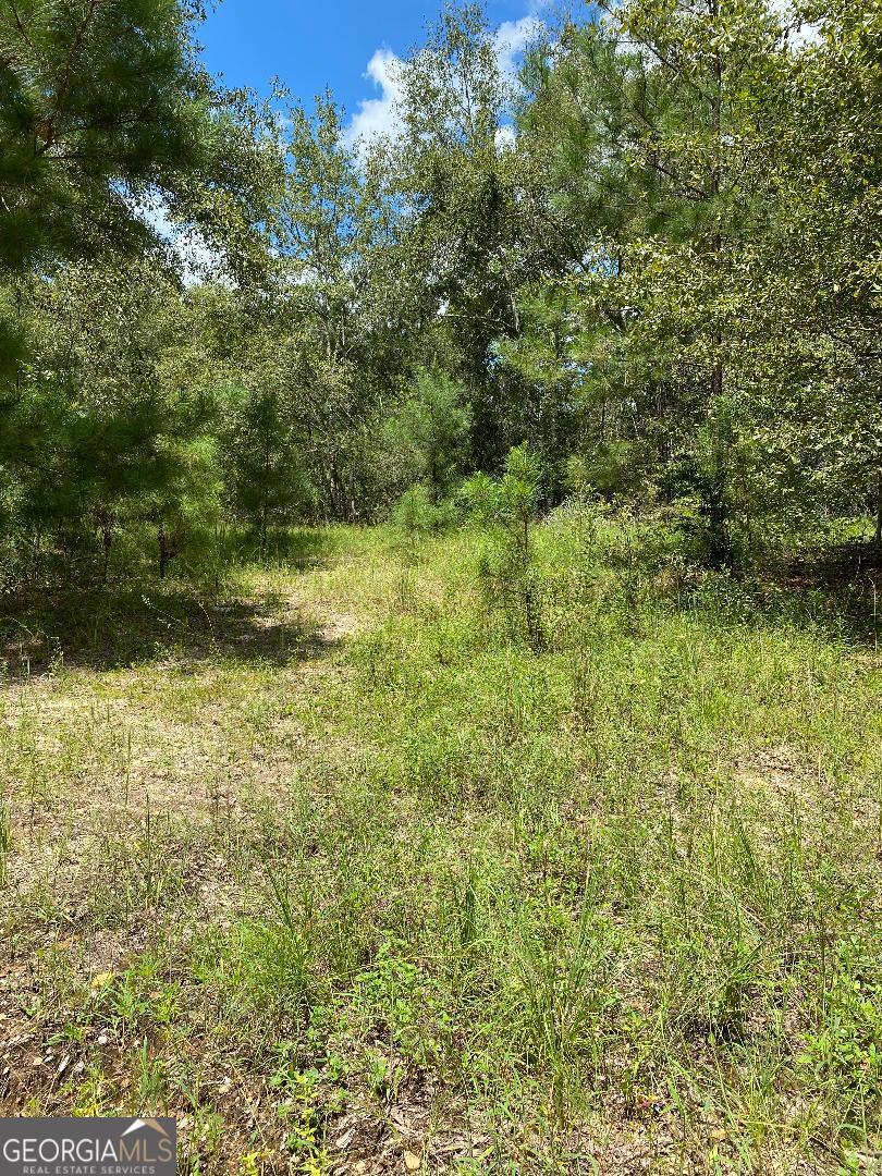 0 Mt Zion Church Road Garfield, GA 30425 - Photo 2 of 5 a view of a yard with an outdoor space
