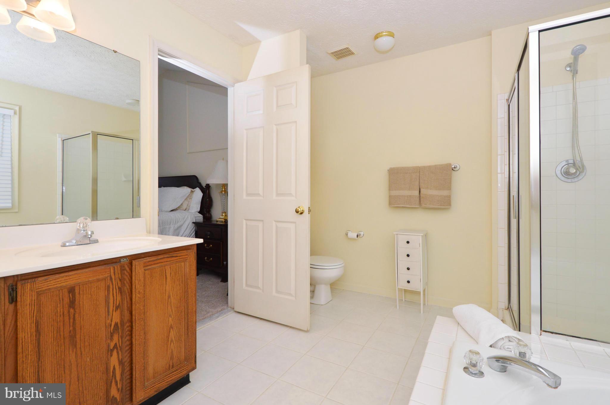 3793 Philadelphia Road Abingdon, MD 21009 - Photo 21 of 30 Bath (Master)