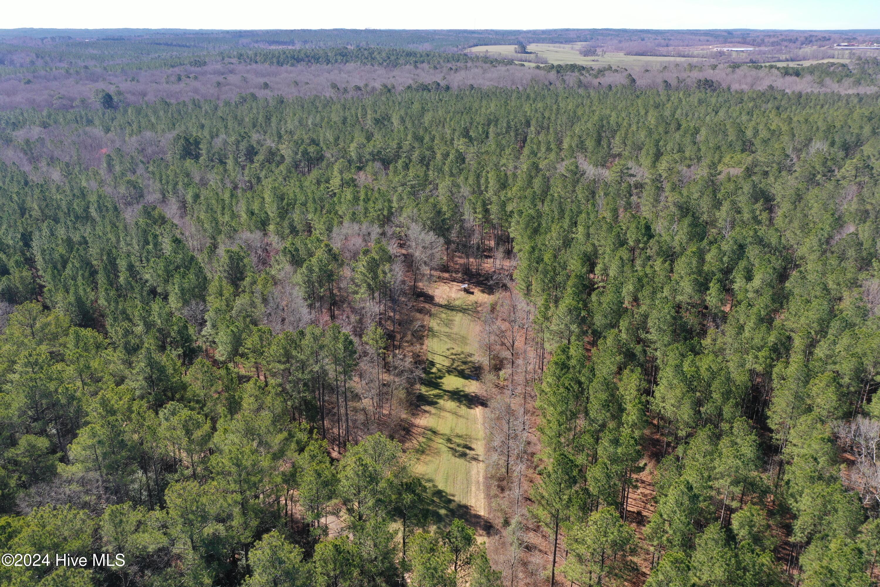 740 Sand Farm Road Carthage, NC 28327 - Photo 33 of 69 DJI_0747