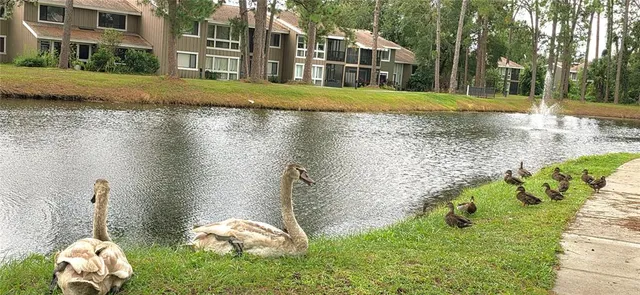 $149,995 | 6124 Peregrine Avenue, Unit D06, Orlando, FL 32819