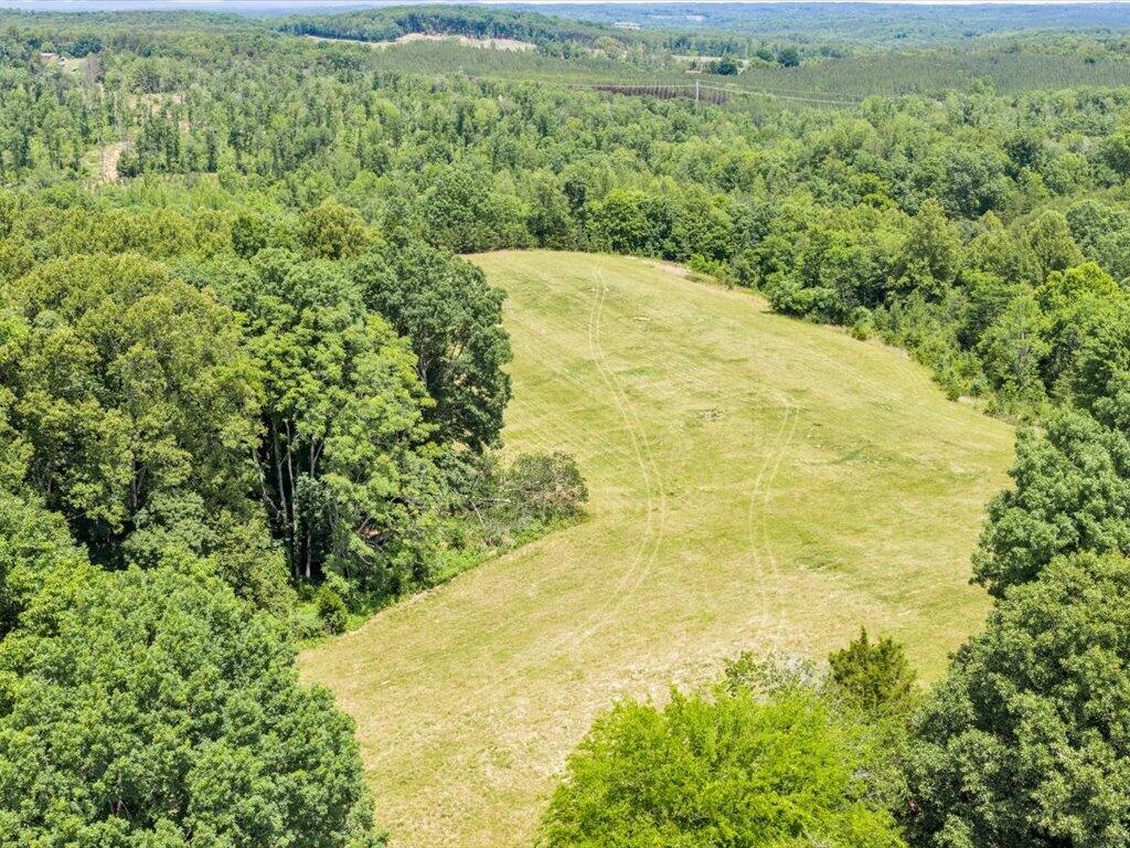 247 Powell Road Ridgeway, VA 24148 - Photo 83 of 90 83-DJI_20260531131311_0019_D