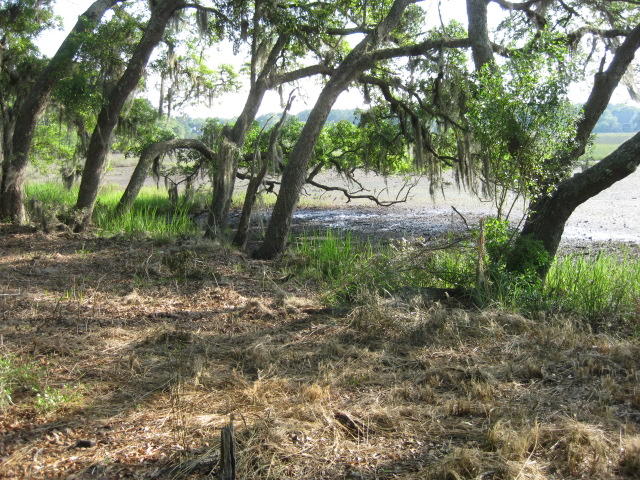 10 Chisolm Plantation Road Edisto Island, SC 29438 - Photo 11 of 28 10 Middleton new mowed (6)