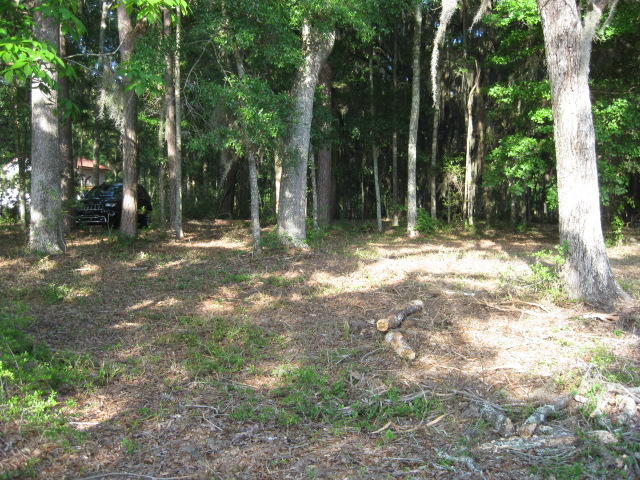 10 Chisolm Plantation Road Edisto Island, SC 29438 - Photo 12 of 28 10 Middleton new mowed (7)